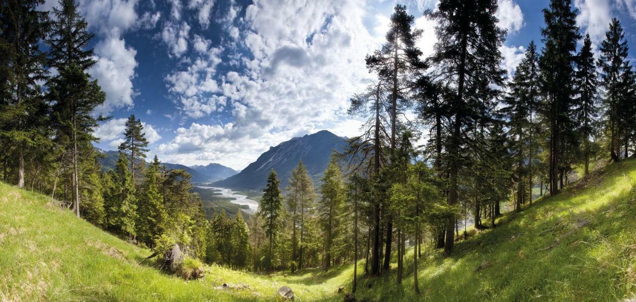 Ferienwohnungen Schlichtherle Bach  Extérieur photo